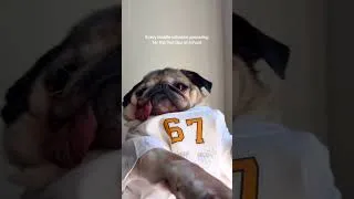 Thumbnail: Does this make me cool? #67  #pug #dougthepug