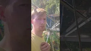 Thumbnail: I Didn't Expect This in My Greenhouse...