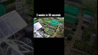 Thumbnail: The heatwave made everything grow rapidly!