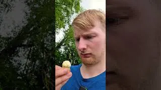 Thumbnail: The Most Ridiculous Cauliflower I've Ever Grown...