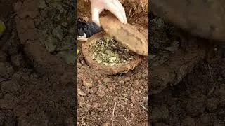 Thumbnail: Treasure Find Metal Detectors #metaldetecting #treasurehunt