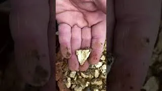 Thumbnail: Metal Detectors  #metaldetecting #treasurehunt
