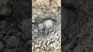 Thumbnail: Massive Underground Find Cracked Open #metaldetecting #mining #treasure