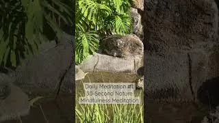 Thumbnail: A Quick and Easy Way to Meditate for 30 Seconds Today! 🪴🧘🏻‍♀️ #dailymeditation #howto #lifehacks