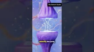 Thumbnail: Why Do We Dream?
