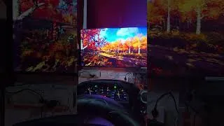 Thumbnail: dirt rally 2.0#logitech g29# ford fiesta #gaming #simracing