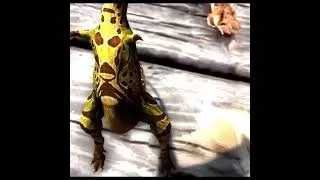 Thumbnail: Carnotaurus Frog laughing Animation v2 #carnotaurus  #frog  #frogmemes  #laugh  #dinosaur