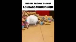Thumbnail: meow meow meow #shorts #cat #funny