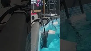 Thumbnail: Quick Look! iGarden Portable Swim Jet X PRO 10