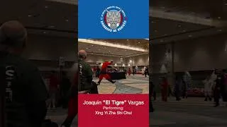 Thumbnail: Joaquin Vargas performing Xing Yi Zha Shi Chui