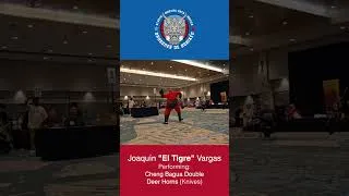 Thumbnail: Joaquin Vargas performing Cheng Bagua Double Deer Horns