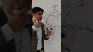 Thumbnail: respiratory system part 1 | upper respiratory system | by Dr aqib