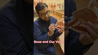 Thumbnail: How our voice resonates? #voice #nose #sinus #viral #trending