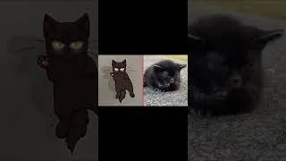 Thumbnail: ADORABLE  Animals 🐻 Funny Pet Videos