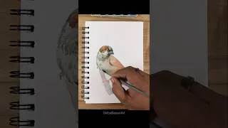 Thumbnail: Realistic vs perfectionist #artshorts #artvideos
