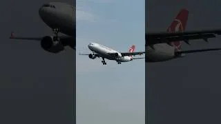 Thumbnail: Turkish Airlines A330 Frankfurt Landing #shorts #aviation #turkey #landing