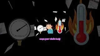 Thumbnail: The Brain #anatomy