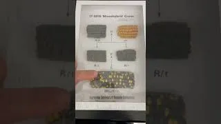 Thumbnail: Gregor Mendel’s Monohybrid Cross experiment! #biology #science #genetics