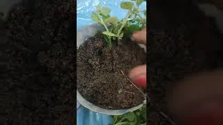 Thumbnail: सब से बड़ी सीख हालात सीखते है