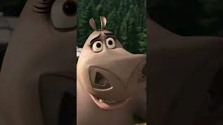 Thumbnail: Melman and Gloria Rehearse! 🦒🦛⭐️ | DreamWorks Madagascar #madagascar