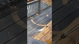 Thumbnail: Why is this so satisfying to watch? #spring