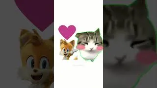 Thumbnail: SONIC FRIENDS ranked by my CAT #sonic