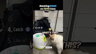 Thumbnail: Rangking dogs vs toys core