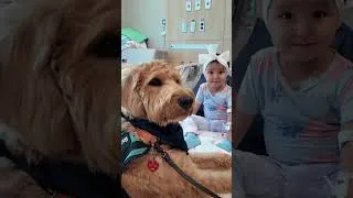 Thumbnail: We now offer our Paws for Patients program in the Rio Grande Valley! #driscollchildrenshospital