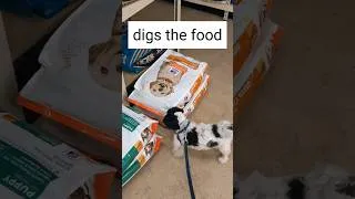 Thumbnail: Best Day with my Pup