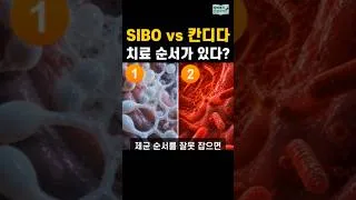 Thumbnail: SIBO vs 칸디다 치료 순서