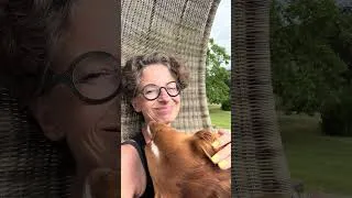 Thumbnail: Love is … adopting a cocker spaniel 💛