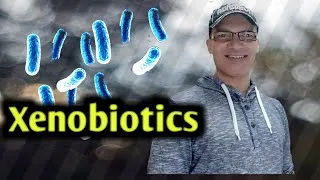 Thumbnail: What are Xenobiotics meaning? #shorts