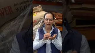 Thumbnail: Sunflower Seeds vs Flax for Horses