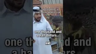 Thumbnail: FALCON SHOPPING AT THE WORLD CUP ISNT FOR BROKE BOYS