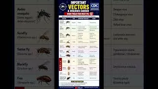 Thumbnail: NEET PG 2026: IMPORTANT VECTORS & DISEASES 🦟🔥 | #neetpg #mbbs #shorts #viral