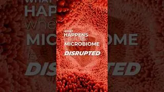 Thumbnail: Hidden Gut Effects of Mold