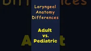 Thumbnail: Paediatric Vs Adult Larynx / What are the 4 major diffrences? #trachea