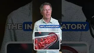 Thumbnail: How Berberine Heals Arteries