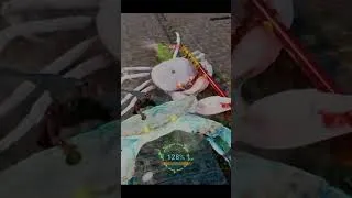 Thumbnail: Crab! What's Best In Life?