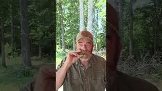 Thumbnail: August 6, 2026
