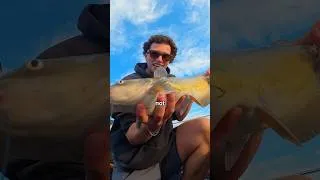 Thumbnail: I Caught a Catfish 🐟🎣