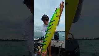 Thumbnail: I Doubled My Lure for Every Sub 🐟🎣