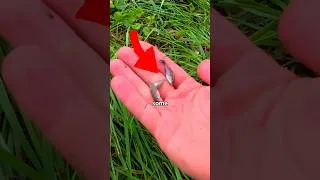 Thumbnail: I Rescued Fish out of a Puddle 🐟🎣