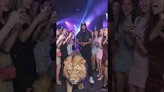 Thumbnail: Aseo Deogeo -"Warriors" (Concert Promo) #memphisrap #rap #music