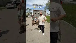 Thumbnail: Eid Mubarak 🐑😂 عيد مبارك