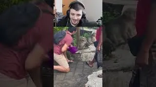 Thumbnail: Try not to laugh challenge 67 🤡 #shorts #funny #trending