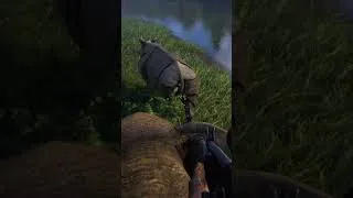 Thumbnail: RINO