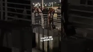Thumbnail: She took a risk to save a dog 👏