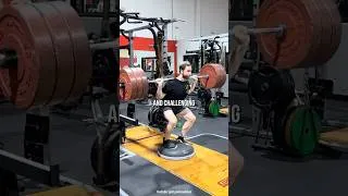 Thumbnail: The Problem With Bosu Ball Squats