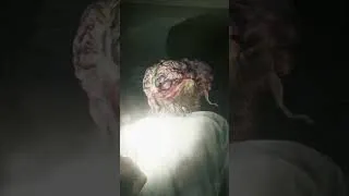 Thumbnail: Blister Head Fail! - Resident Evil 9